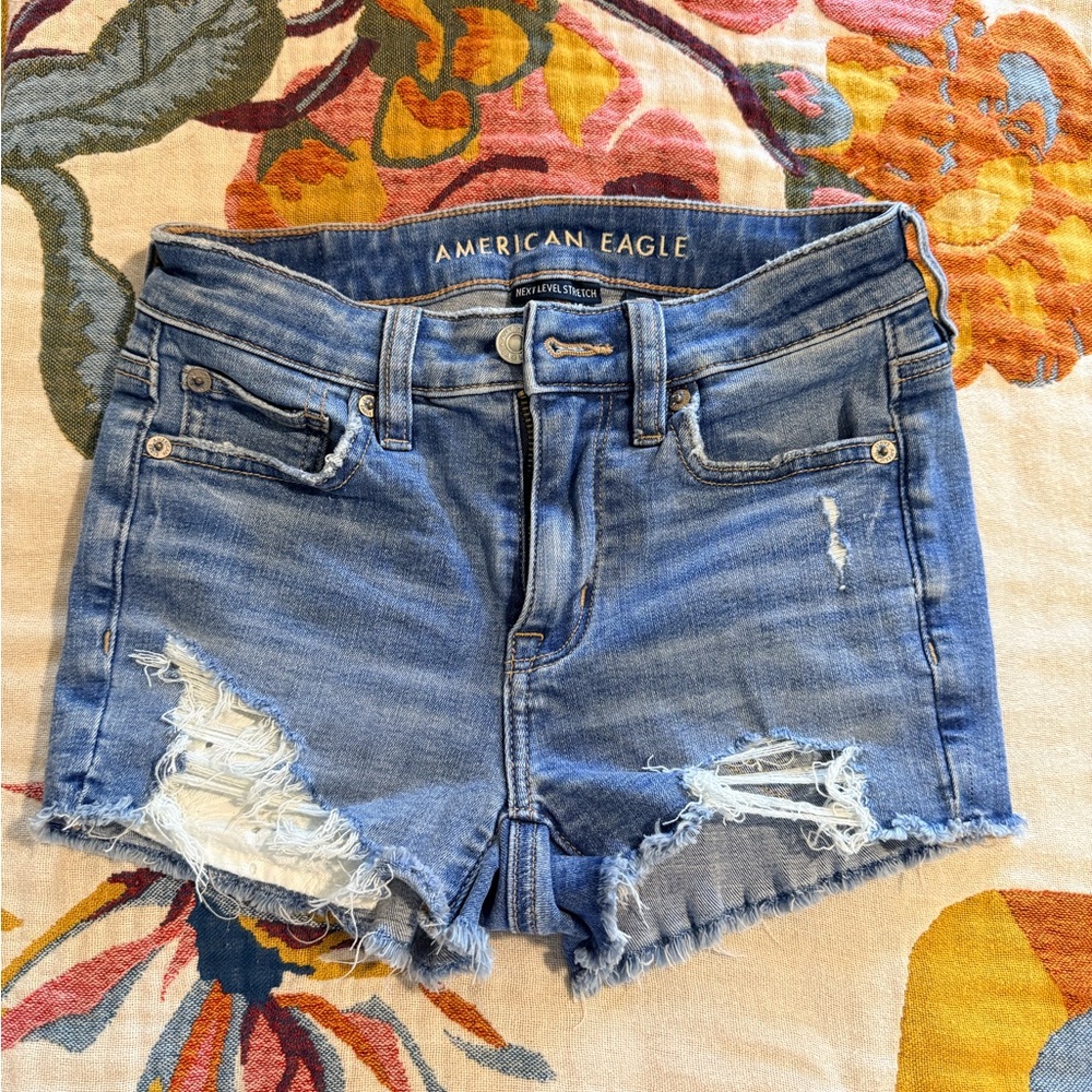 American Eagle Outfitters Women's Distressed Blue Jean Shorts